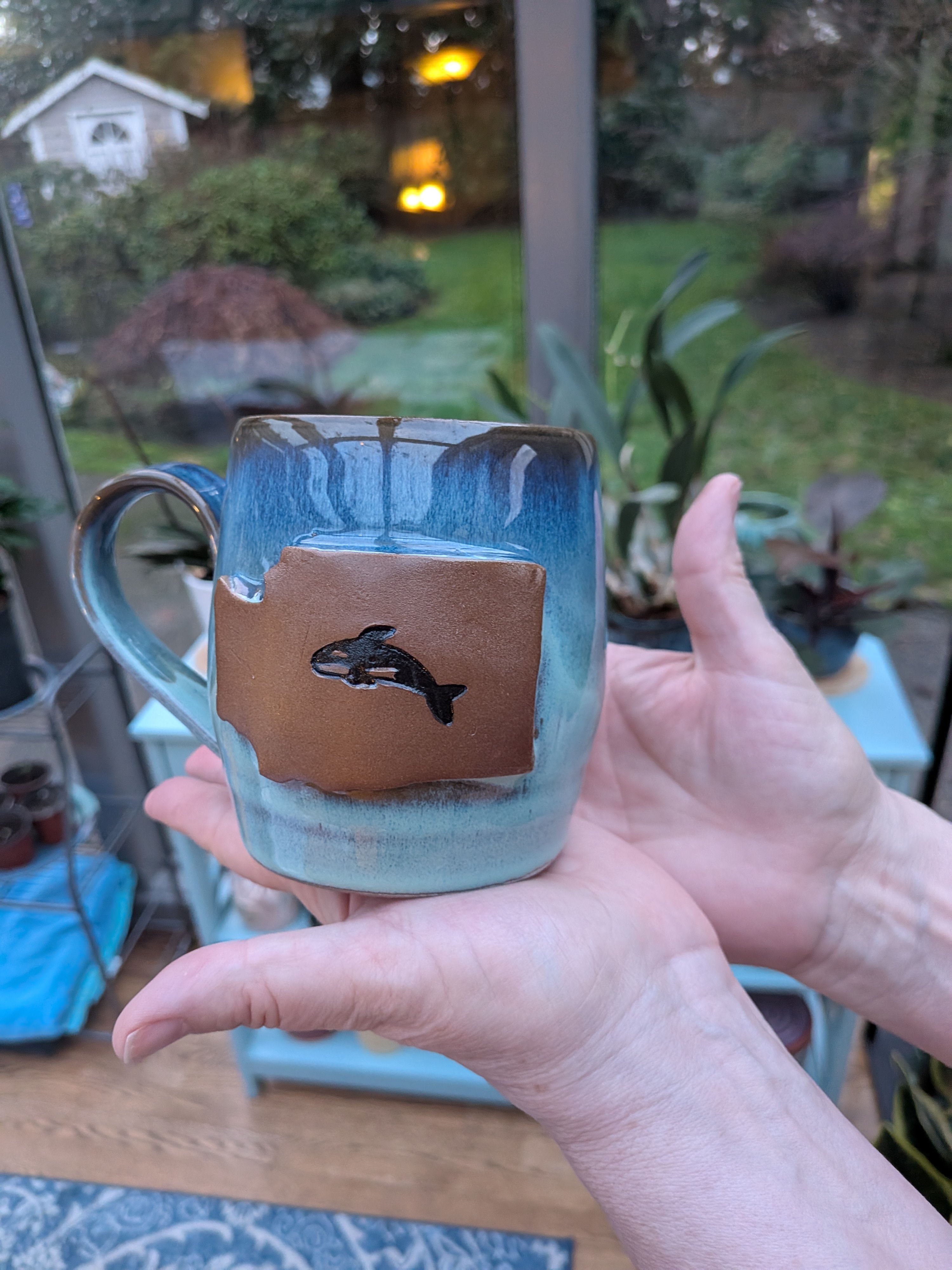 Orca Mug